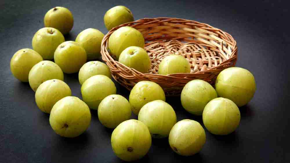 প্রতীকী ছবি 