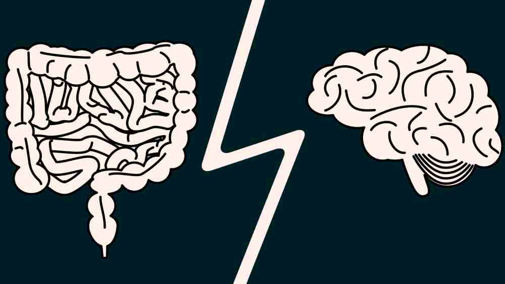 প্রতীকী ছবি 