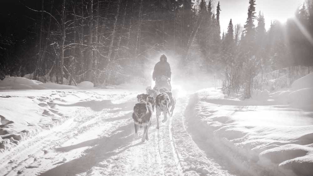 ১২০ জনের কনেযাত্রীর দল পাত্রপক্ষের বাড়িতে পৌঁছনোর অনেক আগেই থমকে যায়। তাদের পথ আটকে দাঁড়ায় কালো কালো ছায়া।