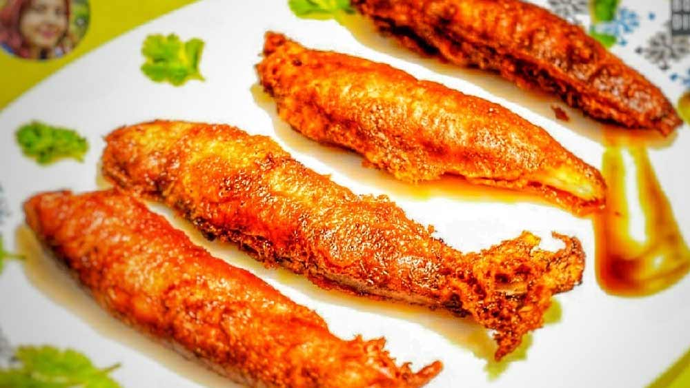 ছবি: দ্য বং ডাইনস্