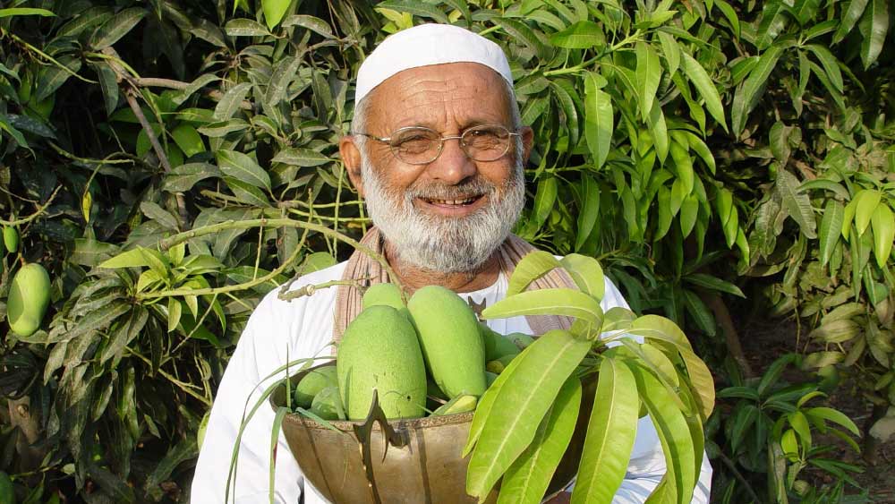 উত্তরপ্রদেশের মলিহাবাদে নিজের বাগানে বসেই ৮২ বছর বয়সি বৃদ্ধ কলিমউল্লাহ এক সংবাদ মাধ্যমকে জানান, ‘‘কয়েক দশক ধরে প্রখর রোদে দাঁড়িয়ে কঠোর পরিশ্রম করার পুরস্কার এই গাছের ভিন্ন ভিন্ন জাতের আম।’’
