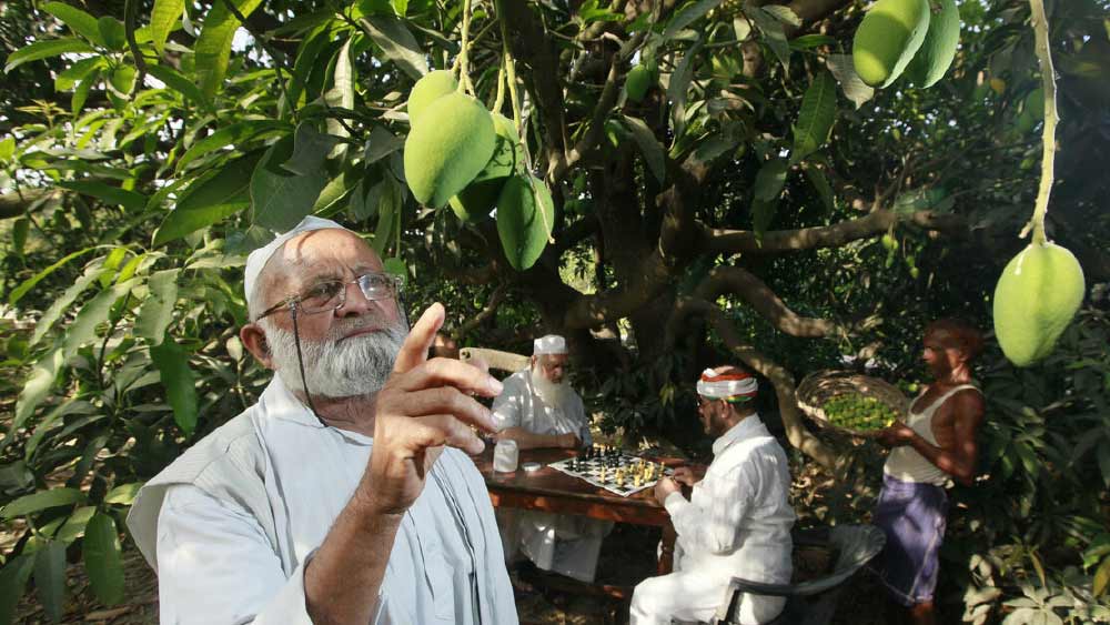 ১৯৮৯ সালে এই বহু পুরনো গাছের খোঁজ পান কলিম। পরীক্ষা করে বুঝতে পারেন এই গাছ আলাদা আলাদা জাতের আম উৎপাদন করতে সক্ষম।