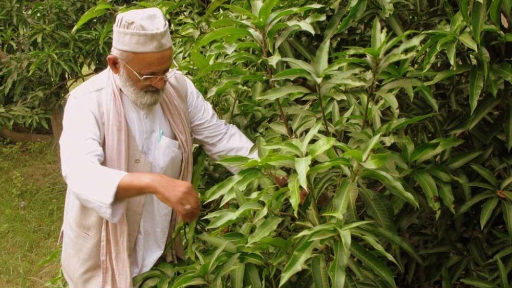 বলিউড তারকা ঐশ্বর্য রাই বচ্চনের নামানুসারে কলিমউল্লাহ একটি আমের নাম দিয়েছিলেন ‘ঐশ্বর্য’। তাঁর দাবি, এই আমই ছিল তাঁর জীবনের সর্বোৎকৃষ্ট সৃষ্টি।