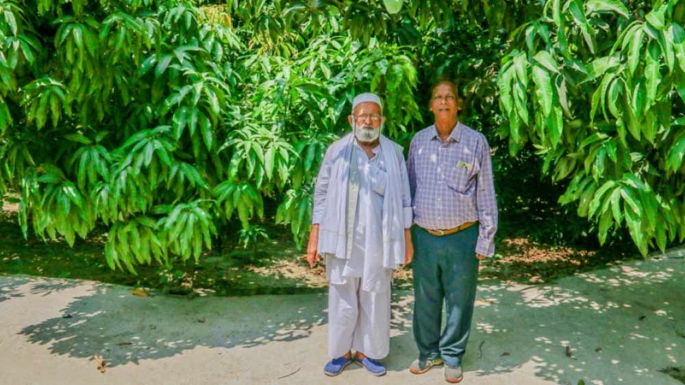 দুই শাখার সংযোগস্থল শক্ত হয়ে গেলে ওই টেপ সরিয়ে নিতে হয়। পরে সেই দুই শাখা থেকে নতুন ডালপালা গজিয়ে নতুন জাতের আমের জন্ম দেয়।