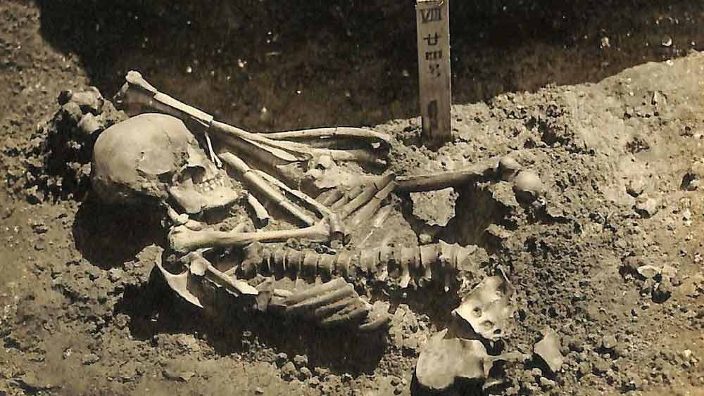 কঙ্কালগুলির ডিএনএ পরীক্ষা করে পরিচয় নিশ্চিত করা হয়। তবে এর মধ্যে সব থেকে ক্ষতিগ্রস্ত ছিল পুরুষ কঙ্কালের খুলি। এই কঙ্কালের খুলি আঘাতের জেরে প্রায় দু’ভাগ হয়ে গিয়েছিল।