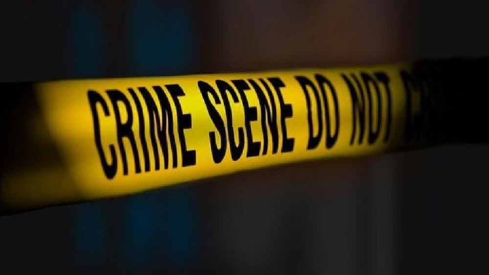 এর পর উপস্থিত সকলে চিৎকার-চেঁচামেচি শুরু করলে তাঁদের সঙ্গে হাতাহাতি শুরু হয় পারভেজের। এরই মধ্যে পারভেজ শাকির হুসেনকে ডাক দেন। শাকিরকে বাগানবাড়ি দেখভালের জন্য কাশ্মীর থেকে নিয়ে এসেছিলেন পারভেজ। এর পর তাঁরা দু’জন মিলে পুরো পরিবারকে খুন করেন।