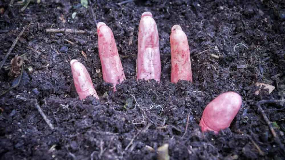 পুলিশের কাছে পারভেজের দেওয়া বয়ান অনুযায়ী, তিনি এবং সেলিনা ২০০৯ সাল থেকে এক সঙ্গে বসবাস করতেন। বিয়ে হয়েছিল আগেই। ২০১১-এর ২ ফেব্রুয়ারি লায়লা-সহ তাঁদের পরিবারের সকলে ইগদপুরীর বাগানবা়ড়িতে ছুটি কাটাতে গিয়েছিলেন। সেখানে গিয়ে পারভেজ জানতে পারেন যে, লায়লা এবং সেলিনা-সহ তাঁদের পরিবারের সকলে দুবাই যাওয়ার পরিকল্পনা করছেন। তবে তাঁকে এই বিষয়ে কিছু জানানো হয়নি।