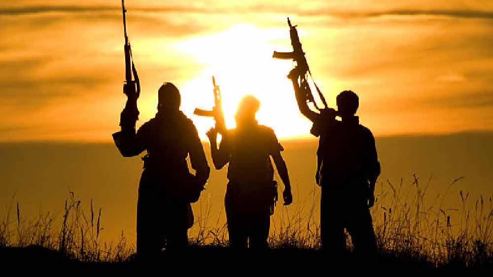 আরও জল্পনা ছিল, নিষিদ্ধ বাংলাদেশি জঙ্গি সংগঠন হরকত-উল-জিহাদ আল-ইসলামির সদস্য মুনির খানের সঙ্গে বিয়ে হয় লায়লার। লায়লার বিরুদ্ধে অভিযোগ উঠেছিল যে, লায়লা জঙ্গি সংগঠন লস্কর-ই-তইবা (এলইটি)-কে মুম্বই সংক্রান্ত অনেক তথ্য সরবরাহ করেছিলেন। এই সব তথ্য দিয়ে এই জঙ্গি সংগঠন মুম্বইয়ের বুকে নাশকতার ছক কষছিল। তবে পরে না কি তিনি এই তথ্য সরবরাহ বন্ধ করে দেন।