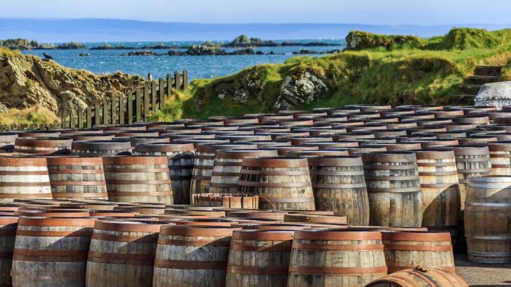 অ্যানাবেল জানিয়েছেন, স্কচ হুইস্কি নিয়ে আমজনতার ধারণা বদলে দিতে চান তিনি। স্বাদু স্কচ তৈরিতে মন দিলেও পরিবেশের ক্ষতি এড়িয়েই তা করতে চান। অ্যানাবেলের কথায়, ‘‘পরিবেশ এবং সুরাপ্রেমীদের পাশাপাশি মুনাফার কথাও যে একই সঙ্গে ভাবা যায়, তা-ই করে দেখাতে চাই।’’