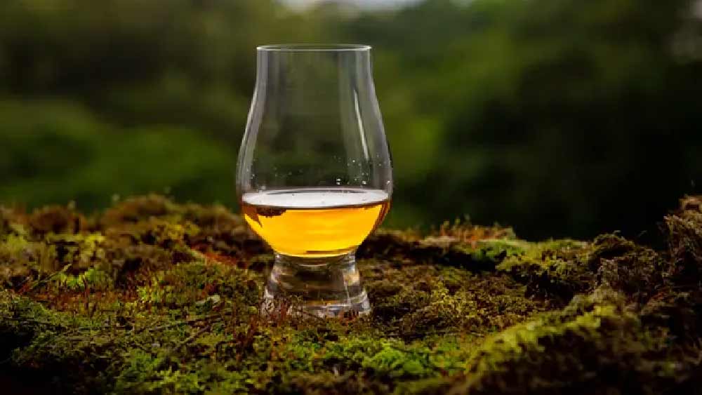 পরিবেশবিদরা জানিয়েছেন, বদ্ধ জলাশয়গুলি পরিবেশের ভারসাম্য বজায় রাখার ক্ষেত্রে গুরুত্বপূর্ণ ভূমিকা পালন করে। ওই ধরনের জলাশয়ের ঘাসমাটিতে থাকা জীবাণুদের মধ্যে অতি সামান্য অক্সিজেন ঢোকায় জলাশয়ের জৈব পদার্থে পচন ধরতে সময় লাগে। ফলে কার্বন ডাঅক্সাইডে ঠাসা থাকে জলাশয়ের ঘাসমাটি, তা পরিবেশে ফিরে যেতেও সময় নেয়।