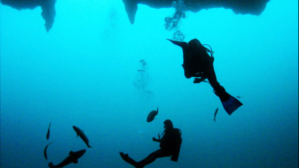 ২০১৮ সালের ডিসেম্বর মাসে জ্যাকুয়েসের প্রপৌত্র ফ্যাবিয়েন কস্টিউ আবার এই অঞ্চলে অভিযান চালান। তাঁর সঙ্গ দেন ধনকুবের রিচার্ড ব্রান্সন এবং এরিকা বার্জম্যান। 