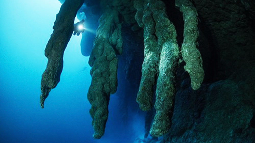 এই ধরনের অবাক করা দৃশ্যের সাক্ষী থাকার কৌতূহলেই তাঁরা গুহার আরও ভিতরের দিকে যেতে থাকেন। কিন্তু তাঁরা যে টর্চগুলি নিয়ে নীচে নেমেছিলেন, তাতে ব্যাটারির চার্জ খুব বেশি ছিল না। সেই কারণেই অন্ধকারের মধ্যেও বুঝেশুনে টর্চ জ্বালাতে হচ্ছিল তাঁদের।