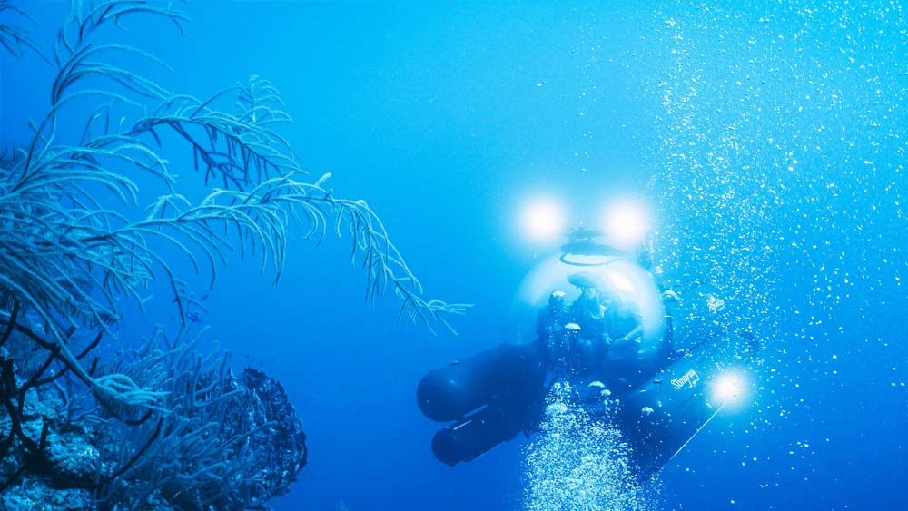 জলের উপরে উঠে আসতেই তাঁদের কাছ থেকে গবেষকরা তথ্য সংগ্রহ করেন। তাঁদের দেওয়া তথ্যের উপর ভিত্তি করে ব্লু হোল সম্পর্ককে ঘিরে অনেক অজানা রহস্যের সমাধান হয়। বার্জম্যানের মতে, যে ডুবুরিরা এত বছর ধরে নিরুদ্দেশ ছিলেন, তাঁদের পরিবারের সদস্যরা অবশেষে তাঁদের সম্বন্ধে জানতে পারলেন।এটাই তাঁর মনকে শান্তি দেয়।