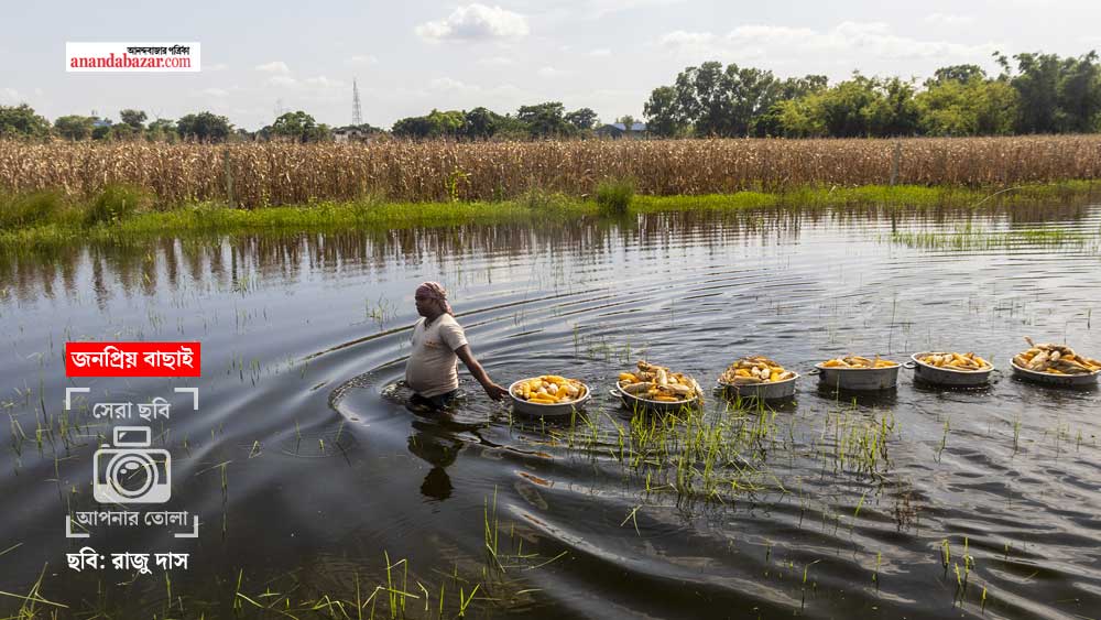 ছবি: রাজু দাস।