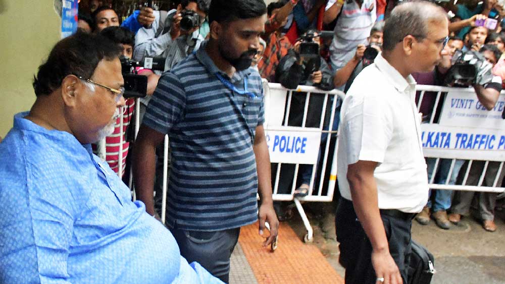 পার্থের যকৃতের কর্মক্ষমতাও স্বাভাবিকই রয়েছে। যকৃতে গ্লোবিউলিনের মাত্রা স্বাভাবিকের তুলনায় সামান্য কম হলেও প্রোটিন একেবারে সঠিক মাত্রায় রয়েছে।