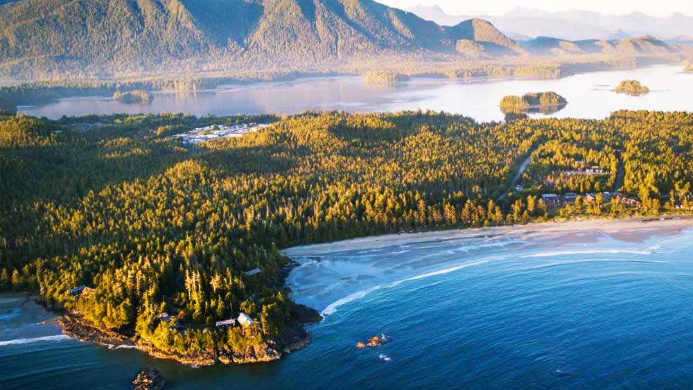 সময়কাল ১৯৪৫ সালের ৮ ফেব্রুয়ারি। দ্বিতীয় বিশ্বযুদ্ধের অভিঘাতে তখন সারা বিশ্ব জর্জরিত। সেই সময় রাতের অন্ধকারে কানাডার কোল হার্বার থেকে ১২ জন ব্যক্তিকে নিয়ে ‘কানসো ১১০০৭’ যাত্রা শুরু করে। বিমানটির গন্তব্যস্থল ভ্যাঙ্কুভার দ্বীপপুঞ্জের ইউক্লুলেট।