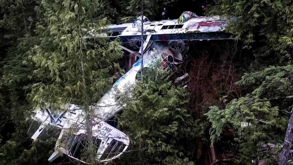 ঠিক সেই সময়েই দুর্ঘটনার মুখে পড়ে বিমানটি। উঁচু গাছের সারির সঙ্গে বিমানটি ধাক্কা খেতে শুরু করে। কিছু দূর এই ভাবে এগিয়ে যাওয়ার পর বিমানটি ধীরে ধীরে নীচের দিকে নামতে থাকে। গতিবেগও কমতে শুরু করে বিমানটির।