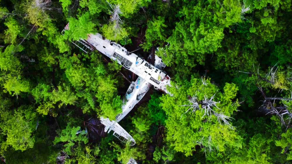 এই সংঘর্ষের ফলে বিমানের ভিতরের ফুসলেজ থেকে তিনি ছিটকে বেরিয়ে যান এবং একটি গাছের ডালে আটকে পড়েন। মাটি থেকে ১৫ ফুট উপরে ক্লারেন্স ঝুলতে থাকেন। কিছু ক্ষণ এই অবস্থায় থাকার পর তিনি সোজা মাটিতে এসে পড়েন।