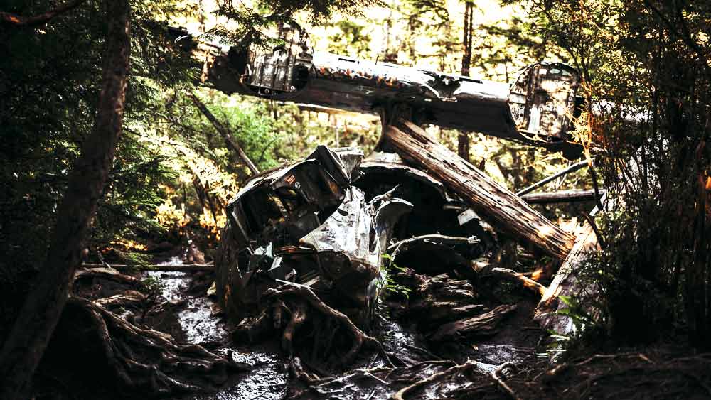 বিমানের ভিতর থেকে প্যারাস্যুট নিয়ে এসে সেই কাপড় দিয়ে জঙ্গলের মধ্যেই কোনও রকমে একটি মাথা গোঁজার ঠাঁই তৈরি করেন সকলে। কয়েক ঘণ্টা এ ভাবেই থাকার পর দূরে কোথাও থেকে তাঁরা অন্য আর একটি বিমানের আওয়াজ শুনতে পান।