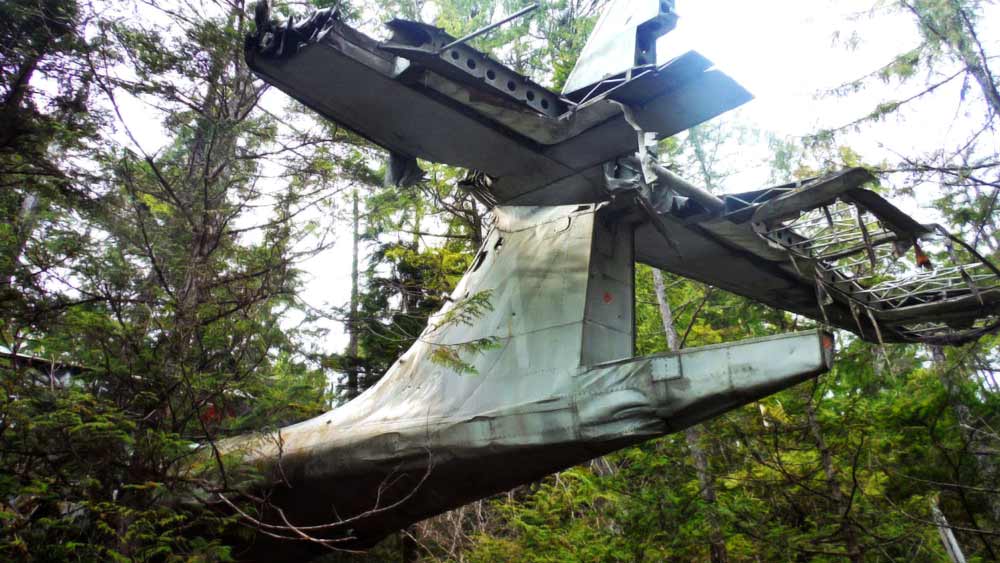 বুঝতে পারেন, তাঁদের উদ্ধার করতেই লোক আসছে। পরে বিস্ফোরকগুলি সরানো হলেও বিমানটি ওই ভাবেই একই জায়গায় পড়ে থাকে। এমনকি, সেই বিমান এখনও জঙ্গলের মধ্যেই রয়েছে।