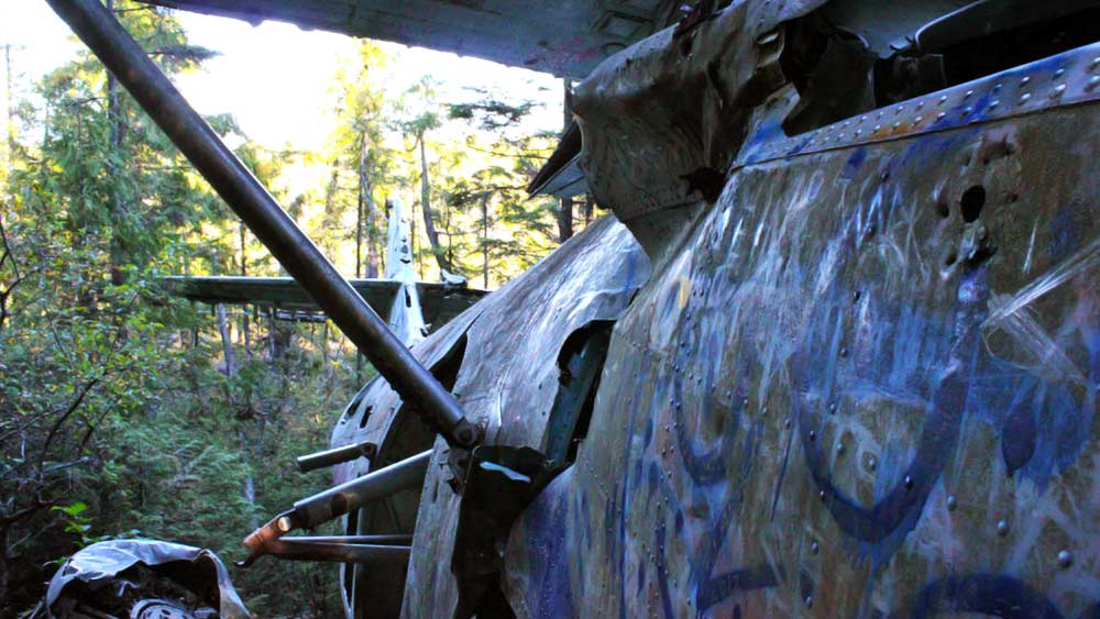 সেই বাড়ির পিছন দিক দিয়ে উপরে ওঠার রাস্তা রয়েছে। তবে, রাস্তাটি কর্দমাক্ত। এমনকি, তীব্র গরমেও এখানে কাদা জমে থাকে। কাদাজমা রাস্তা পার করলেই একটি পুকুর। আর সেই পুকুরের পাশেই রয়েছে বিমানের ভগ্নাবশেষ।