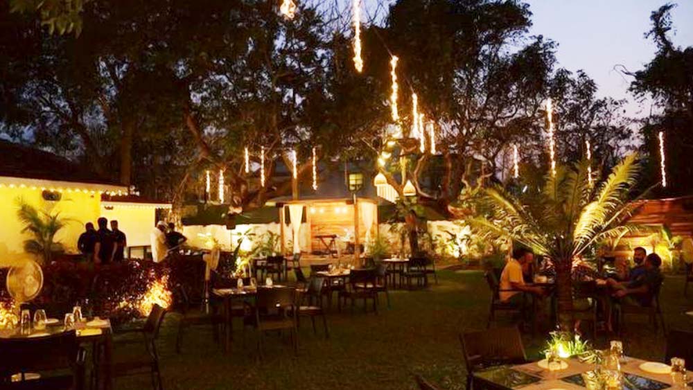 উত্তর গোয়ার ‘সিলি সোলস্ ক্যাফে অ্যান্ড বার’ নামের একটি পানশালা রয়েছে জোয়িশ ইরানির। ১৮ বছর বয়সেই তিনি এই পানশালার মালকিন।