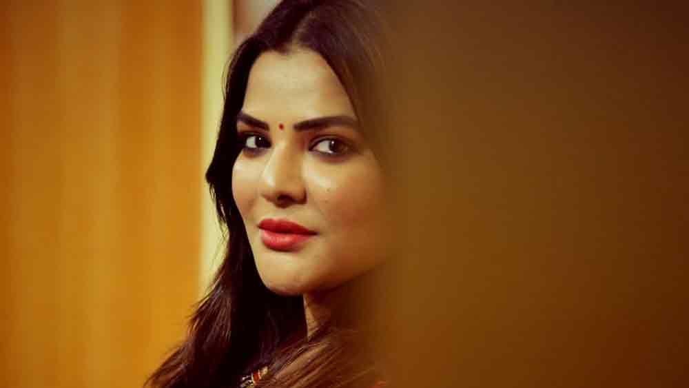 অর্পিতার টালিগঞ্জ এবং বেলঘরিয়ার ফ্ল্যাট মিলিয়ে উদ্ধার হওয়া নগদের পরিমাণ ৪৯.৮ কোটি। তা-ও আবার নগদে উদ্ধার করা হয়েছে। নিজেকে অভিনেতা বলে দাবি করা অর্পিতার কাছে কী এত টাকা থাকা সম্ভব, এই প্রশ্ন নিয়ে জোর চর্চা।