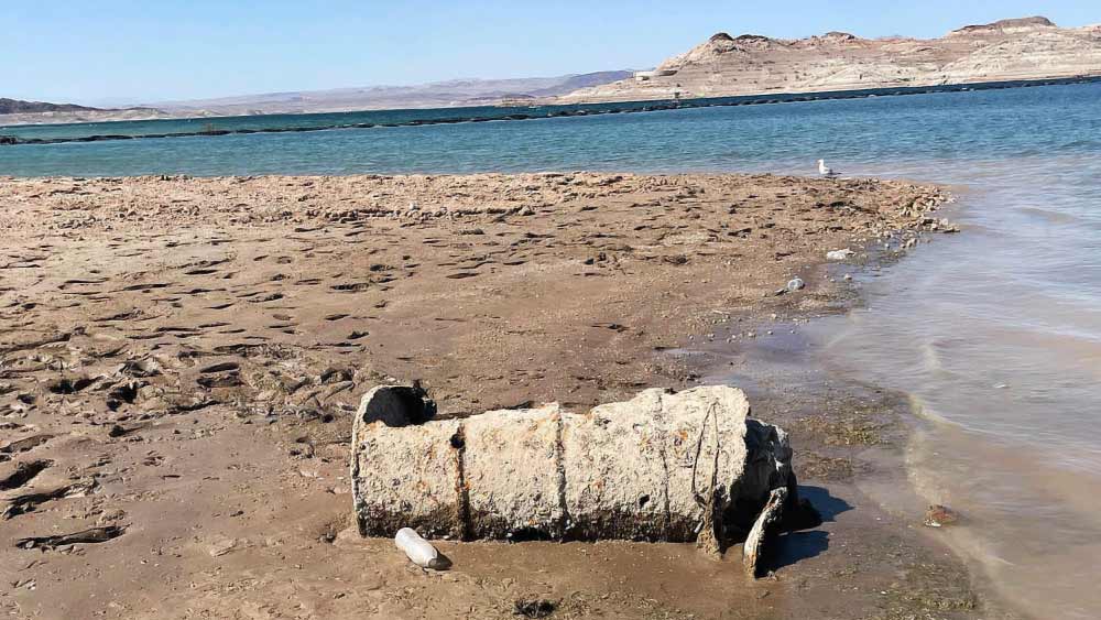 এই ব্যক্তিকে খুন করা হয়েছিল বলেই মনে করছেন এই ঘটনার তদন্তকারীরা।