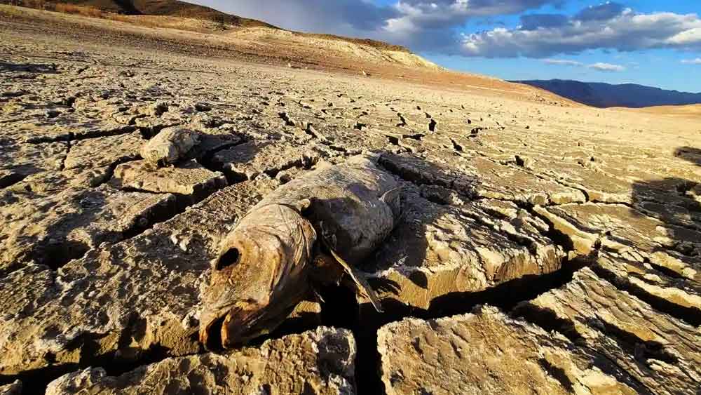 জলাধারে জলের স্তর এতই কমে গিয়েছে যে, শীঘ্রই এই হ্রদ ‘মৃত হ্রদ’-এর তকমা পেতে পারে বলে আশঙ্কা করা হচ্ছে।