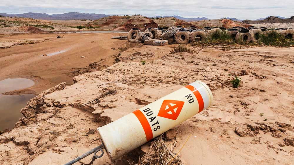উদ্ধার হওয়া এই নৌকাটিতে দ্বিতীয় বিশ্বযুদ্ধের সময় সমুদ্রসৈকতে সৈন্য অবতরণ করার জন্য ব্যবহার করা হত বলেও বিশেষজ্ঞদের দাবি।