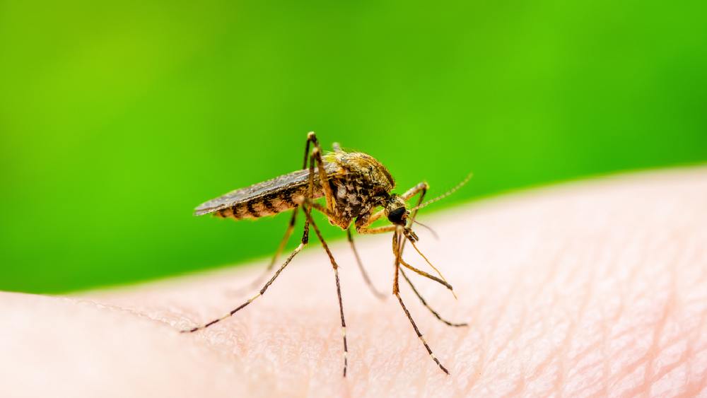 প্রতীকী ছবি