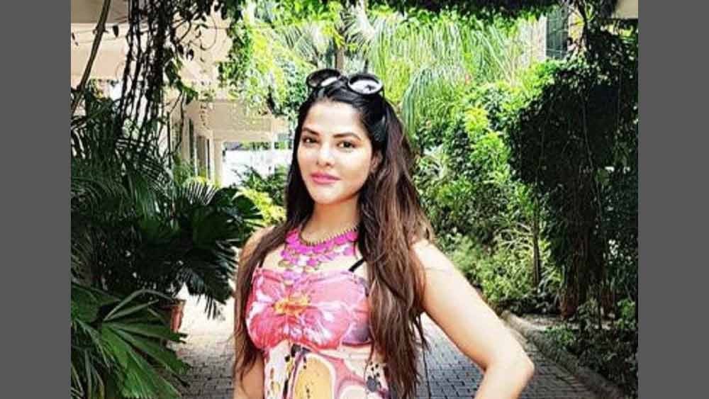 অর্পিতার নামে-বেনামে থাকা ৪টি গাড়ির হদিসও পেয়েছে ইডি। এই গাড়িগুলির আনুমানিক দাম কোটি টাকার বেশি। এ ছাড়াও অর্পিতার আরও কয়েকটি গাড়ি আছে বলে মনে করছেন ইডি আধিকারিকেরা। সেগুলির খোঁজখবর চলছে।