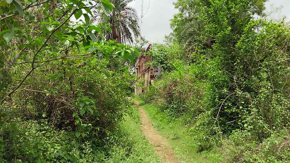 বেনা গ্রাম। 