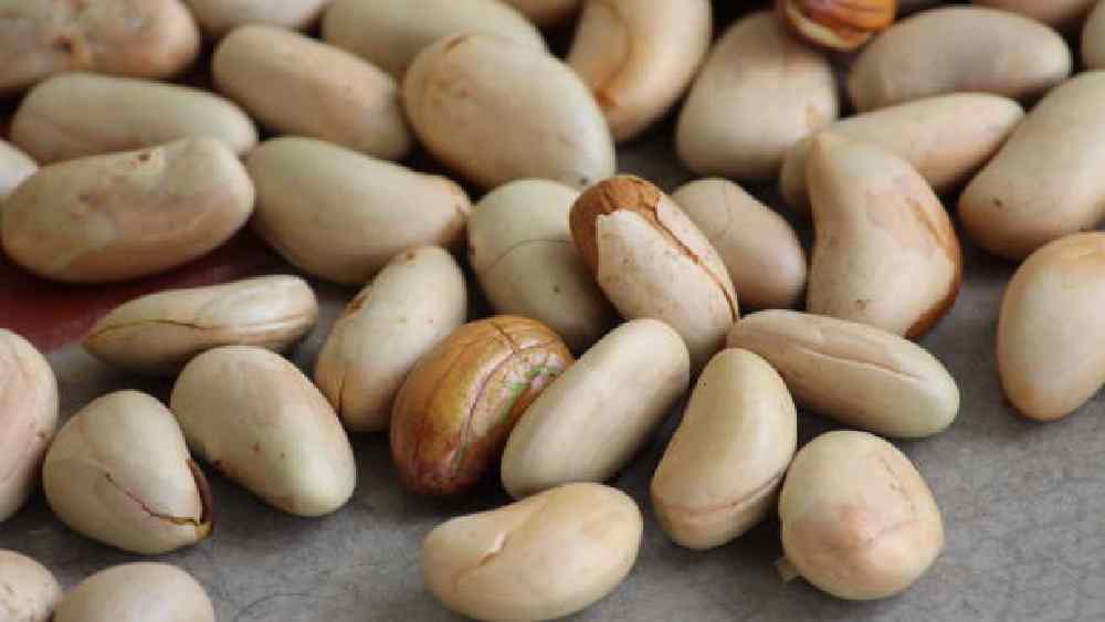 প্রতীকী ছবি।