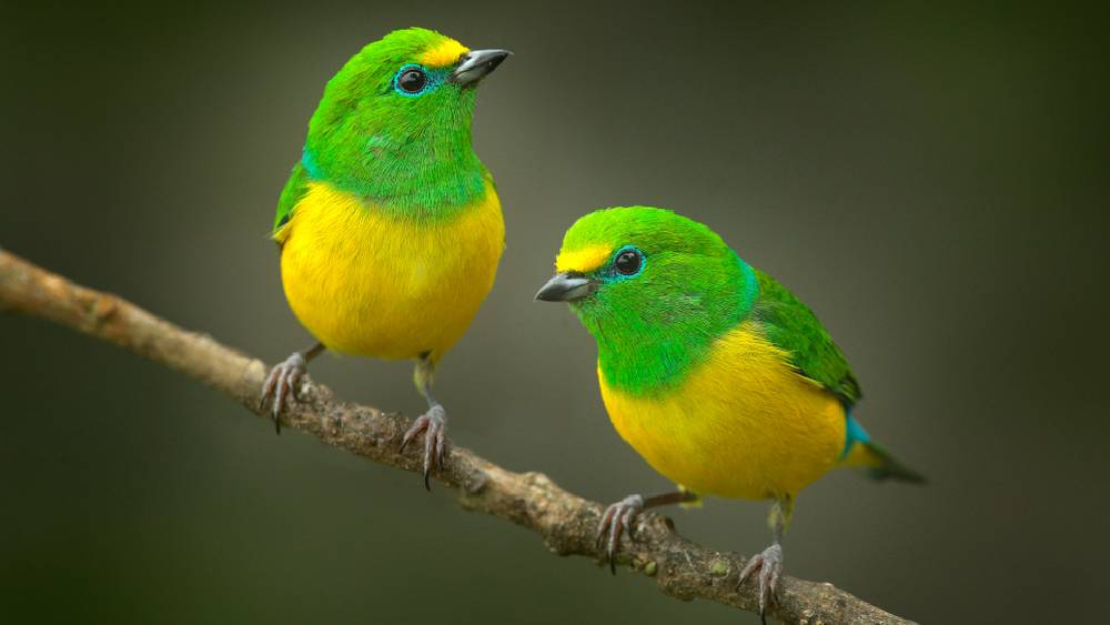 প্রতীকী ছবি