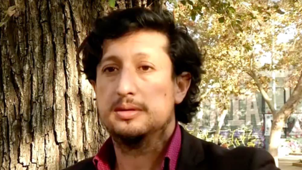 ২০২০ সালে জোনাথন অ্যালিয়ারস মিলেনারিও থেকে বেশ কিছু নমুনা সংগ্রহ করেন। পরে তিনি কম্পিউটার মডেলের সাহায্যে এই গাছের বয়স নির্ণয় করার চেষ্টা শুরু করেন।