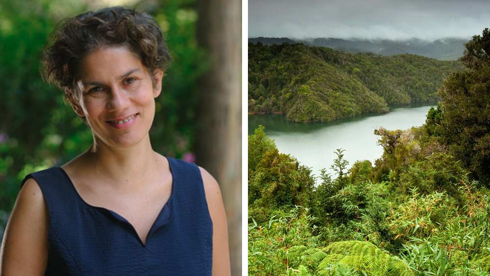 চিলির পরিবেশ মন্ত্রী মাইসা রোজাস এই তথ্যকে একটি ‘বিস্ময়কর বৈজ্ঞানিক আবিষ্কার’ বলে মন্তব্য করছেন। চিলির পরিবেশ মন্ত্রী হওয়া ছাড়াও মাইসা রাষ্ট্রপুঞ্জের জলবায়ু পরিবর্তন সংক্রান্ত আন্তঃসরকার প্যানেলের সদস্যও তিনি।