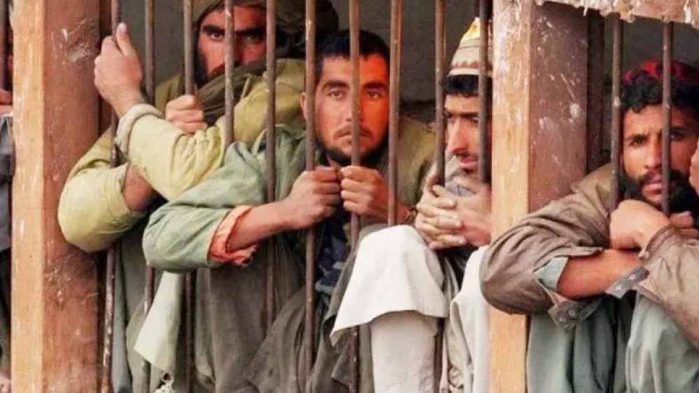 বইয়ে উল্লেখ রয়েছে যে, এক কারাবন্দিকে এক দল প্রহরী একবার মৃত ইঁদুর গিলে খেতে বাধ্য করে। ওই ব্যক্তি মৃত ইঁদুরটি খেয়ে মারা না গেলেও কিছু মাস পর তিনি পাগল হয়ে যান।