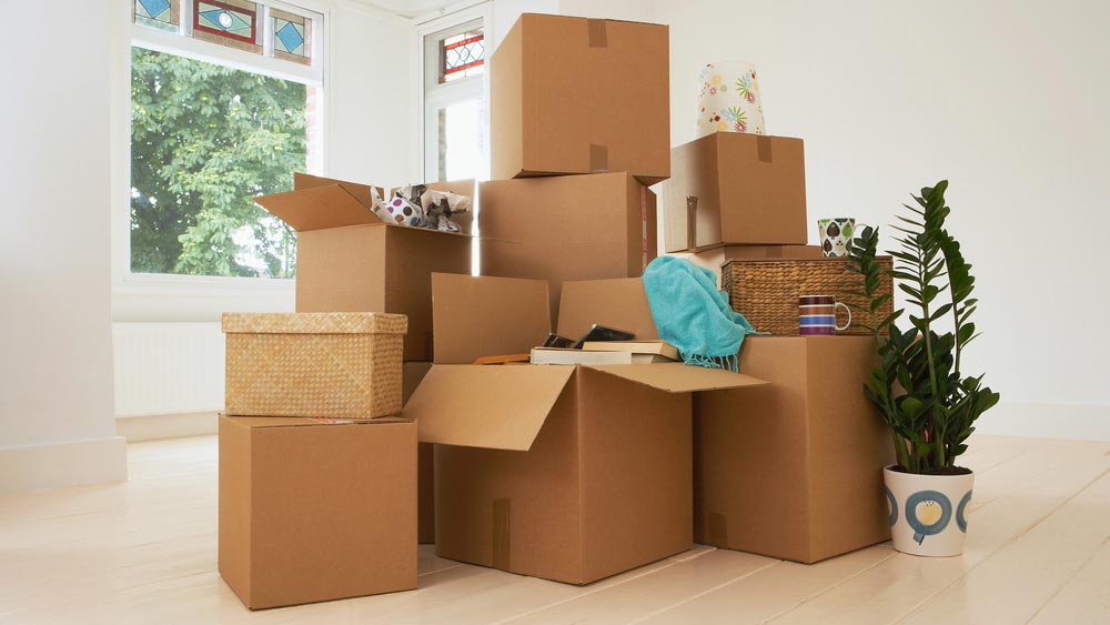 ফ্ল্যাটের জিনিসপত্রের পাশাপাশি দোকানের সমস্ত মালও সঙ্গে নিয়ে গিয়েছিলেন ‘কাজল’। প্রতিবেশীরা অজয়কে জানান তাঁর পরিবারের লোকজনই এসে নিয়ে গিয়েছে সে সব জিনিস। প্রশ্ন করলে ‘কাজল’ তাঁদের জানান, তাঁরা ফরিদাবাদ চলে যাচ্ছেন।