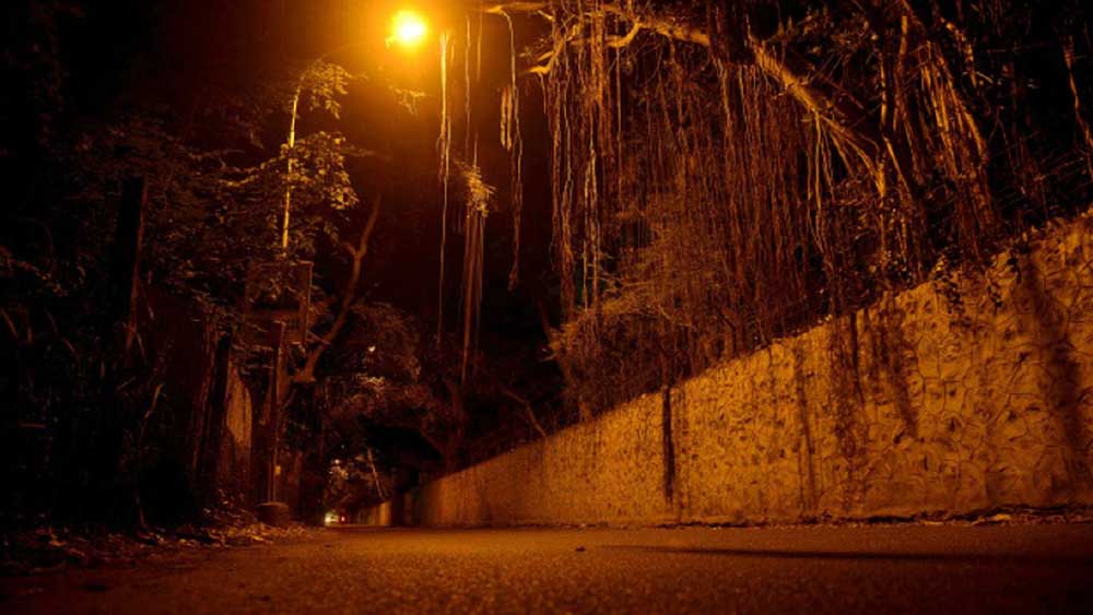 ব্লু ক্রস রোড— চেন্নাইয়ের সবচেয়ে ‘ভুতুড়ে’ রাস্তা হিসেবে মনে করা হয় ব্লু ক্রস রোডকে। রাস্তার দু’পাশ গাছের চাদরে ঢাকা। তাই দিনের বেলাতেও অন্ধকার থাকে এই রাস্তা। রাতের ছবিটা আরও ভয়ঙ্কর হয়ে ওঠে।