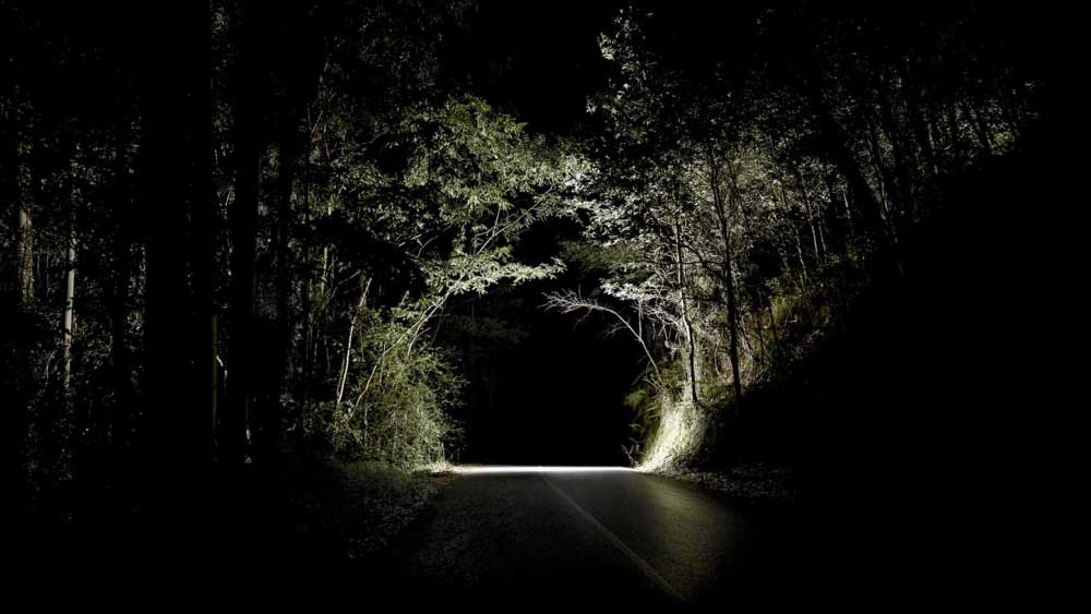 সত্যমঙ্গলম অভয়ারণ্য করিডর— তামিলনাড়ুর এই অভয়ারণ্যের বুক চিরে চলে গিয়েছে ২০৯ নম্বর জাতীয় সড়কের একটি অংশ। এই জঙ্গলেই এক সময় চন্দনদস্যু বীরাপ্পনের গড় ছিল। এই রাস্তার দু’পাশের দৃশ্য মুগ্ধ করার মতো। কিন্তু তামিলানাড়ুতে এই রাস্তাকে ‘ভুতুড়ে’ বলে মনে করা হয়।