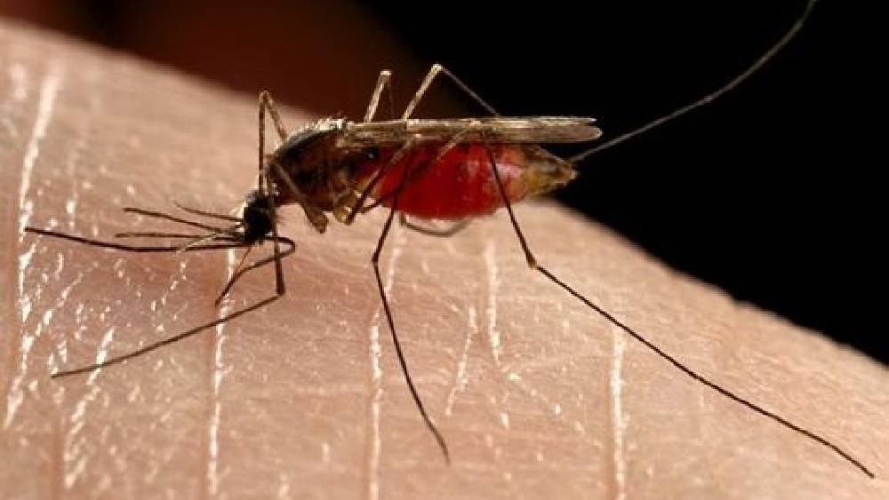 প্রতীকী ছবি।