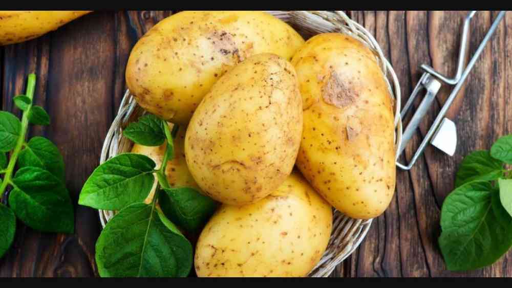 প্রতীকী ছবি।