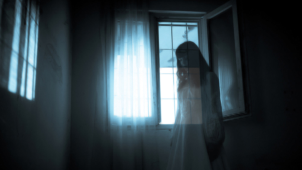 জেমির কথায়, ‘‘রাতের বেলা হঠাৎ হঠাৎ দরজা খোলার শব্দ শোনা যায়। বিভিন্ন ধরনের বিচিত্র সব শব্দ হতে থাকে।’’