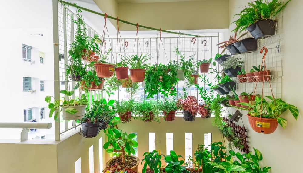 প্রতীকী ছবি