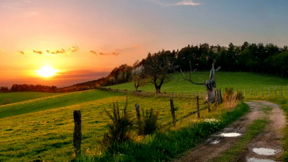 ৮ এপ্রিল, ২০১৯। সকাল থেকে বিকাল গড়িয়ে গেছে। তবুও বাদল বাড়ি ফেরে না। বন্ধুর বাড়িতেও নাকি সে খেলতে যায়নি। মুহূর্তের মধ্যে সারা গ্রামে সাড়া পড়ে যায়। বাদলের পরিবারের লোকজনের সঙ্গে গ্রামবাসীরাও বাচ্চা ছেলেটিকে খুঁজতে থাকে। 