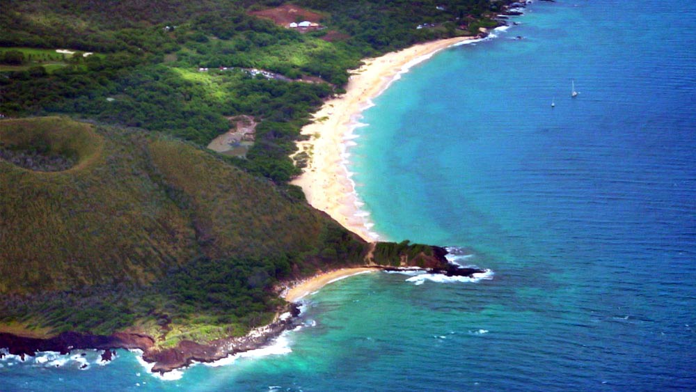 এই সৈকতের চারপাশে প্রকৃতির অপরূপ সৌন্দর্য আপনার মন কাড়বে। 