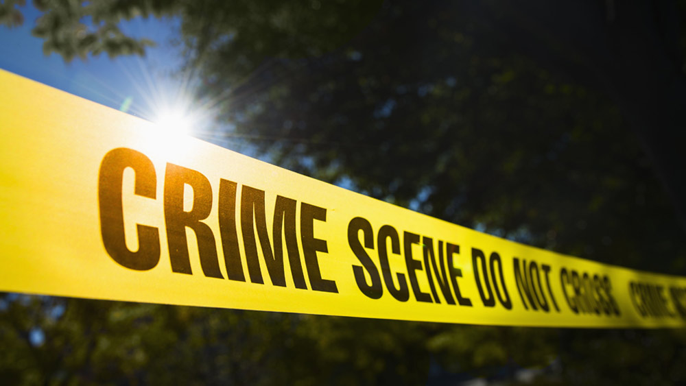 তিনি মাফিয়া জগৎ থেকে সরে একটি সুস্থ-স্বাভাবিক জীবনযাপন করতে চান। কথা প্রসঙ্গে মাফিয়া-জগতের অনেক কথাই স্ট্যানকে বলে ফেলেন তিনি। পরে সেই ব্যক্তিকে হত্যা করা হয়। সেই সময় রুথেরও যাতায়াত শুরু হয়। সব মিলিয়ে মাফিয়াদের নজর পড়ে রুথ ও স্ট্যানের পরিবারের উপর।