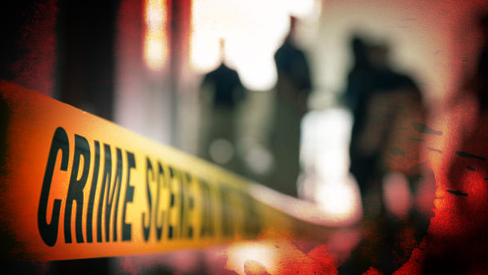 লেনার ঊর্ধ্বাঙ্গ আনাবৃত ছিল এবং তার পোষাক কোমর পর্যন্ত নামানো ছিল। তদন্তকারীরা অনুমান করেছিল, হত্যাকারী তাকে যৌন নিগ্রহ করার চেষ্টাও করেছিল।