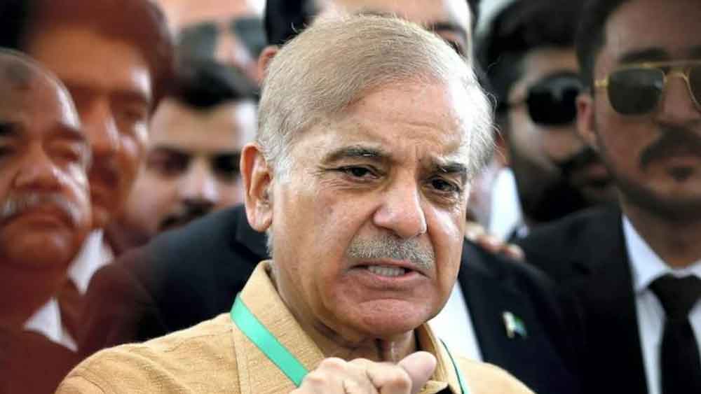 বিভিন্ন ক্ষেত্রে বিনিয়োগও করেছেন নুসরত।